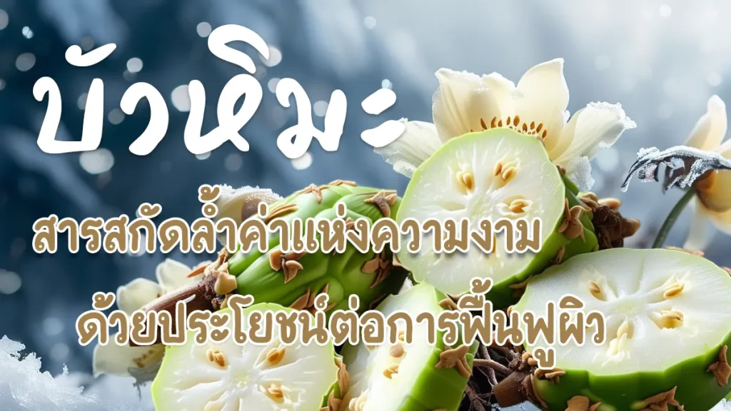 snow-lotus-skin-rejuvenation-benefit