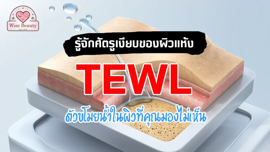 tewl-transepidermal-water-loss