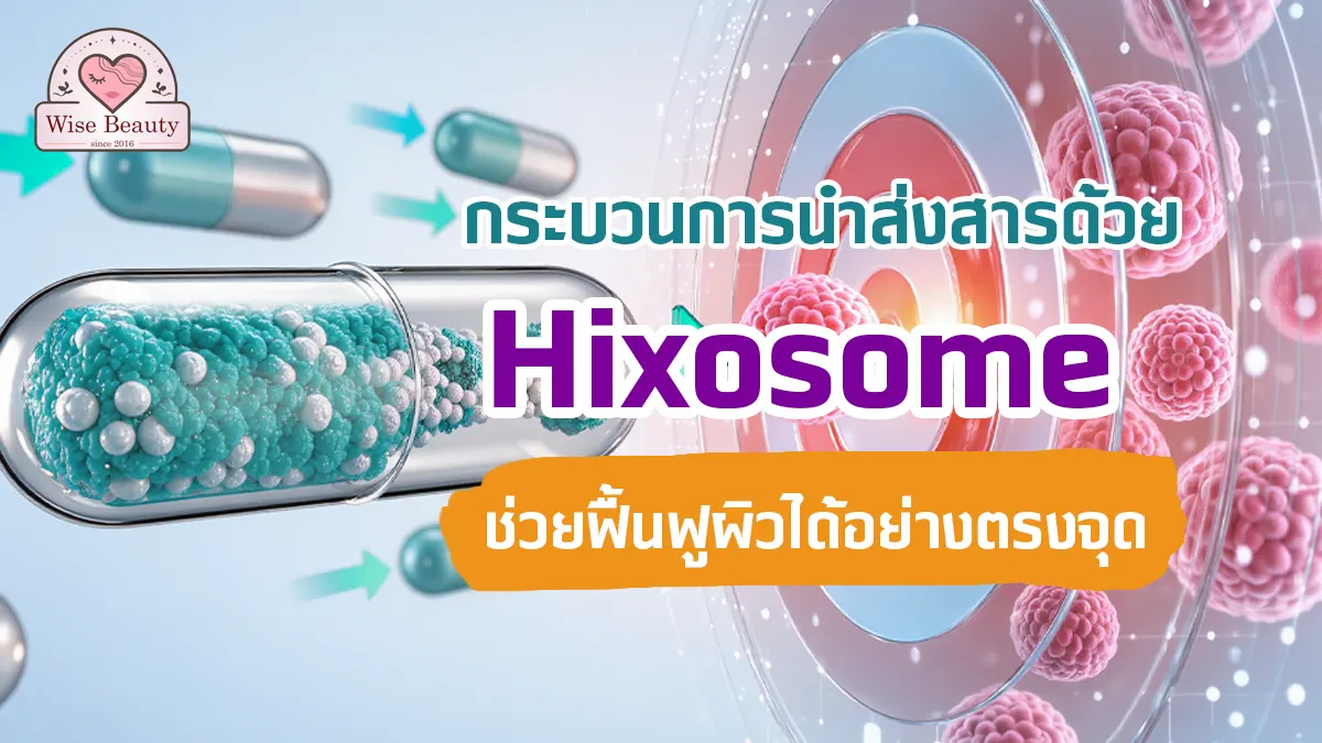 hixosome-direct-delivery-process