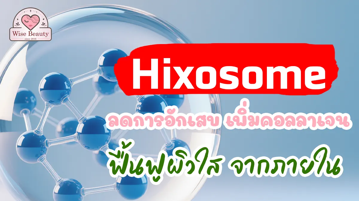 hixosome-reduces-problem-from-within